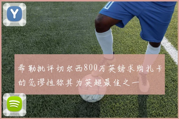 希勒批评切尔西800万英镑求购扎卡的荒谬性称其为英超最佳之一